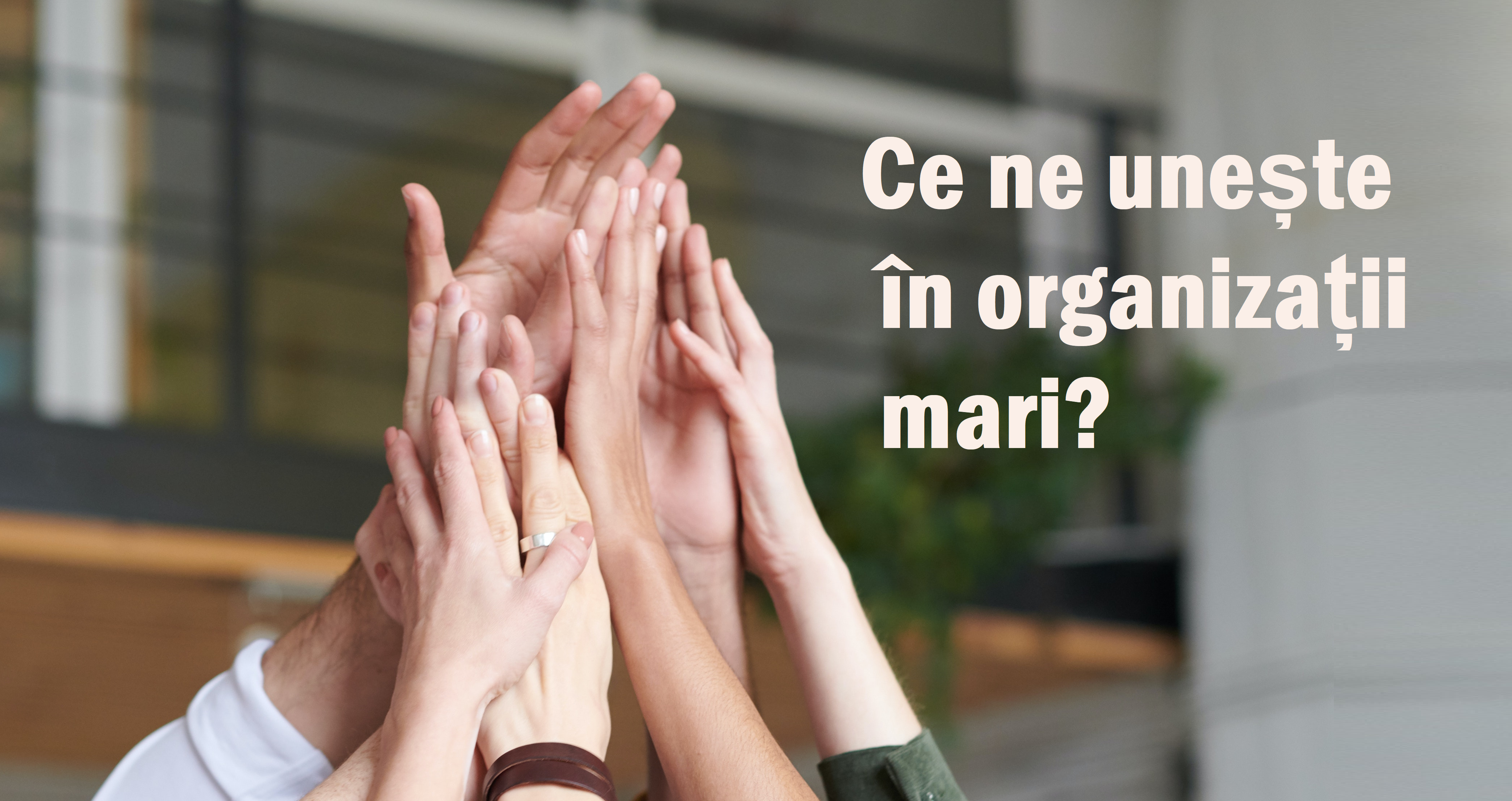 De ce nu reușesc managerii sa motiveze salariații?