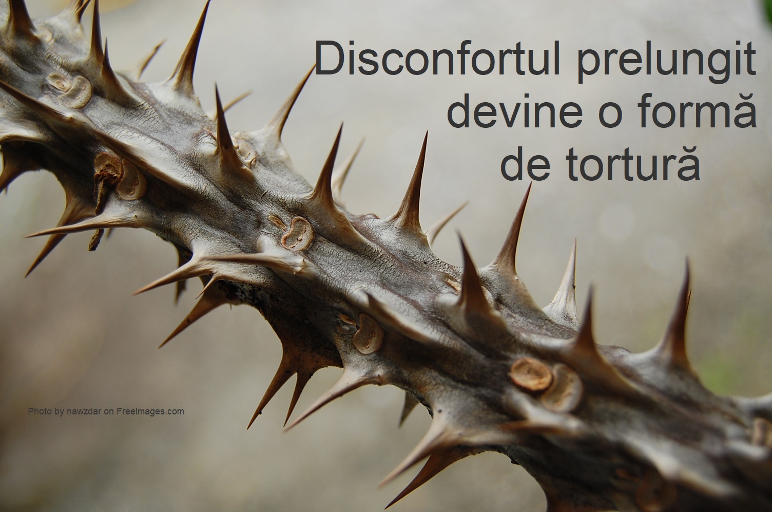 thorn torture 1